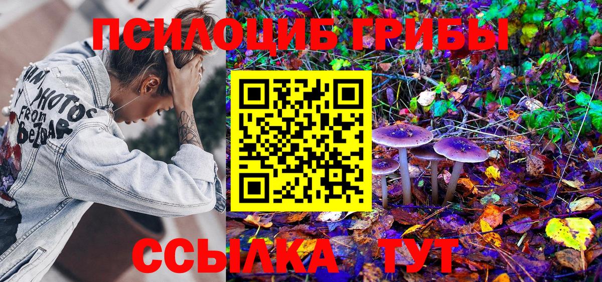 Псилоцибиновые грибы Cubensis Ливны